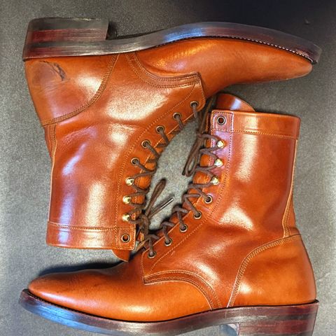 Imperium Mighty in Maryam Bruciato TPR Horsebutt