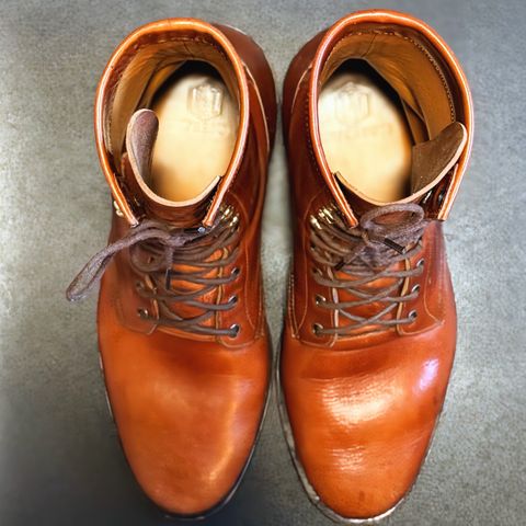 Imperium Mighty in Maryam Bruciato TPR Horsebutt