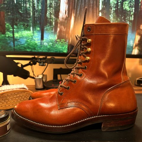 Imperium Mighty in Maryam Bruciato TPR Horsebutt