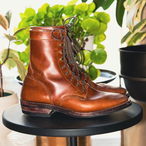 Imperium Mighty in Maryam Bruciato TPR Horsebutt