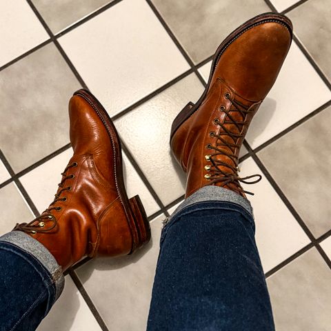 Imperium Mighty in Maryam Bruciato TPR Horsebutt