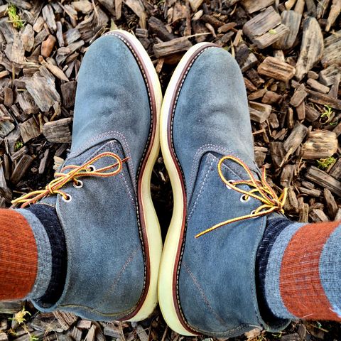 Red Wing Work Chukka in C.F. Stead Classic Blue Crazy Cow