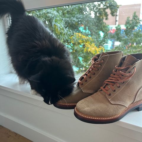 John Lofgren M-43 Service Shoes in Horween Natural Chromexcel Roughout