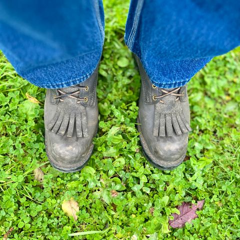 Nicks Prospector in Nicks/Seidel 1964 Gray Smooth