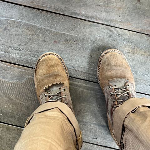 Nicks BuilderPro in Seidel 1964 Brown & Seidel 1964 Brown Roughout
