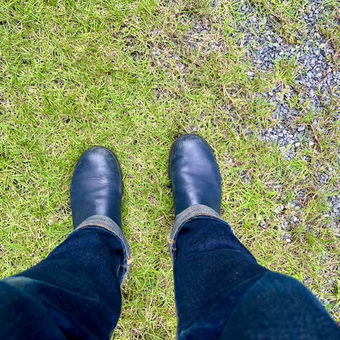 Blundstone Classic in Blundstone / Navy