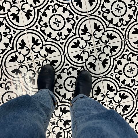 Blundstone Classic in Blundstone / Navy