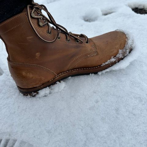 Truman Plain Toe Boot in Sesame Double Shot