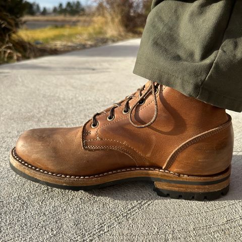 Truman Plain Toe Boot in Sesame Double Shot