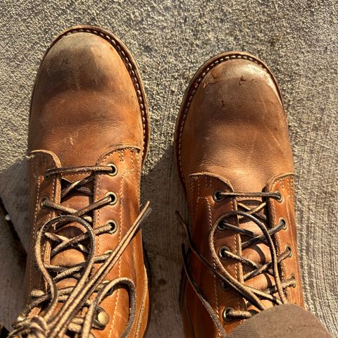 Truman Plain Toe Boot in Sesame Double Shot