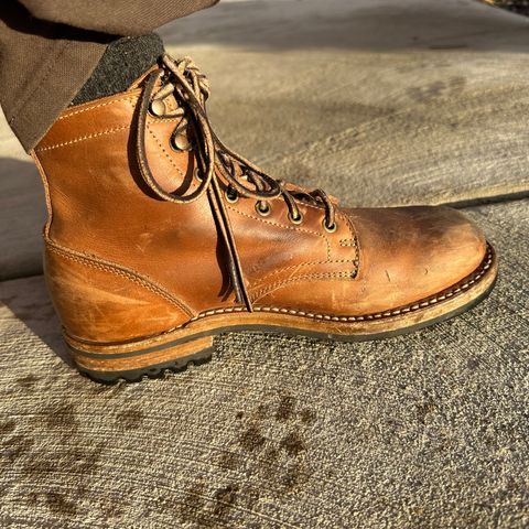 Truman Plain Toe Boot in Sesame Double Shot