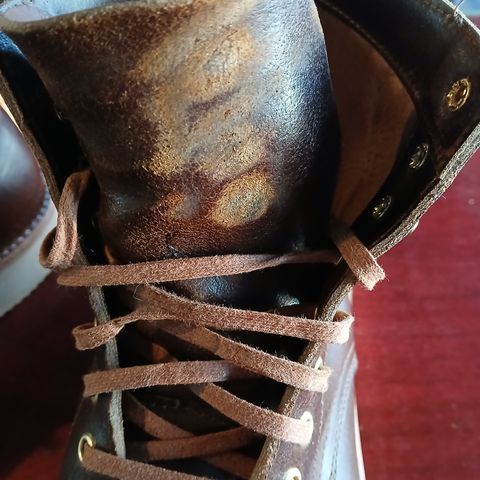 Oak Street Bootmakers Trench Boot in Horween Cinnamon Waxed Flesh