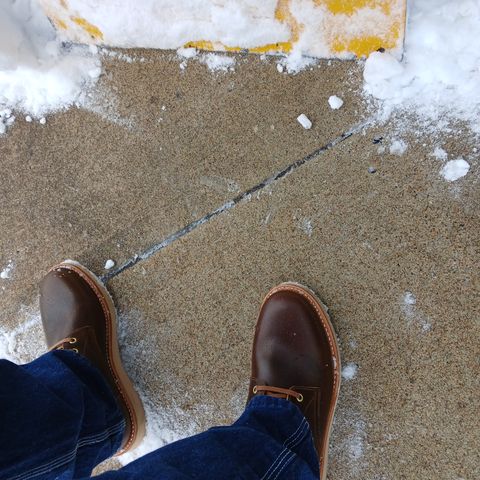 Oak Street Bootmakers Trench Boot in Horween Cinnamon Waxed Flesh