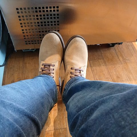 Oak Street Bootmakers Field Boot in Horween Natural Chromexcel Roughout