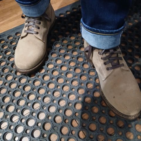 Oak Street Bootmakers Field Boot in Horween Natural Chromexcel Roughout