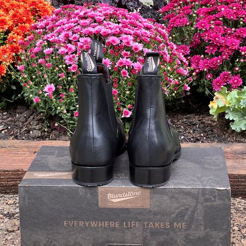 Blundstone Dress in Black