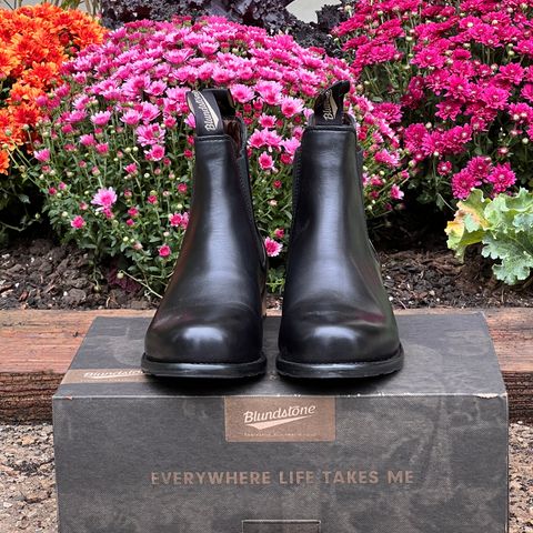 Blundstone Dress in Black