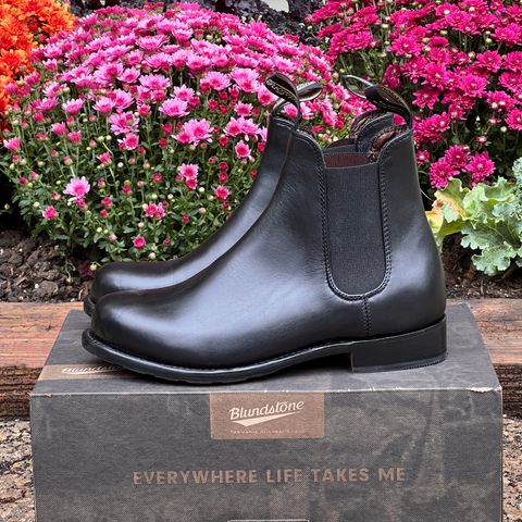 Blundstone Dress in Black