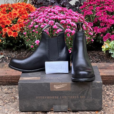 Blundstone Dress in Black