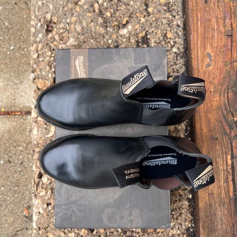 Blundstone Dress in Black