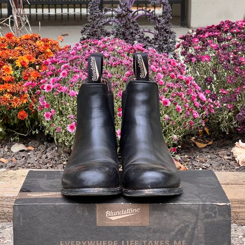 Blundstone Dress in Black