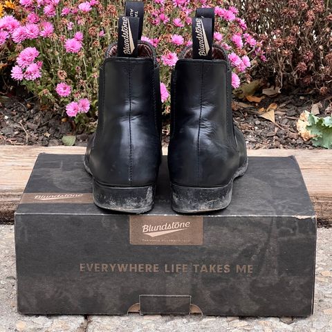 Blundstone Dress in Black