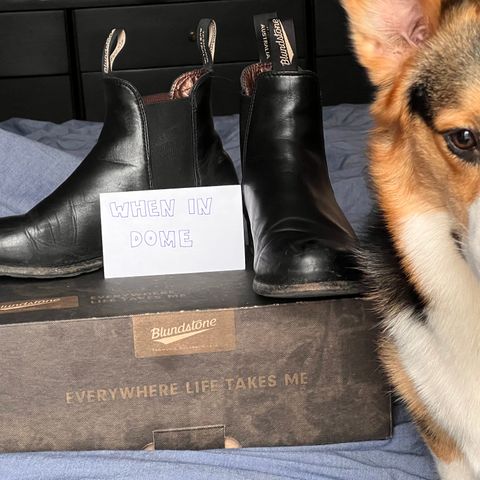 Blundstone Dress in Black