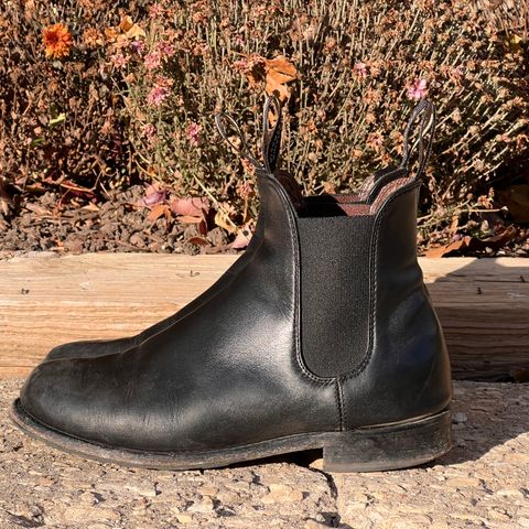 Blundstone Dress in Black