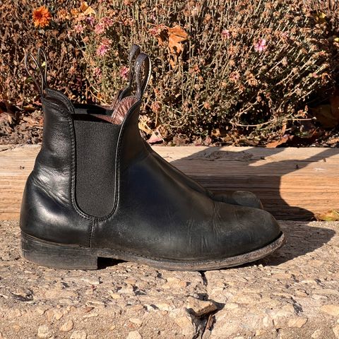 Blundstone Dress in Black