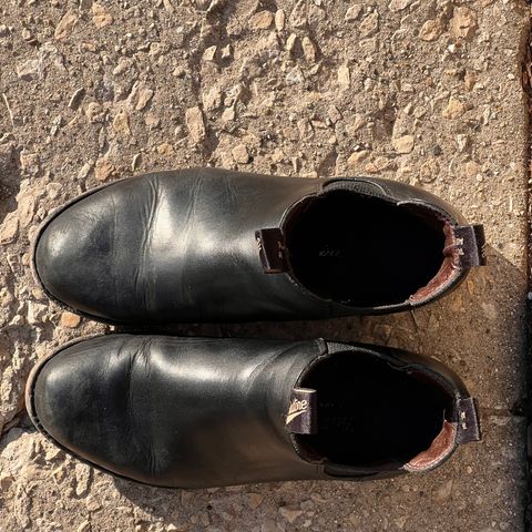 Blundstone Dress in Black