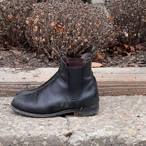 Blundstone Dress in Black