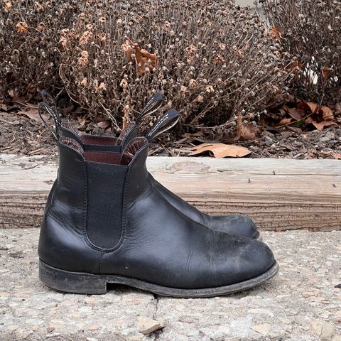 Blundstone Dress in Black