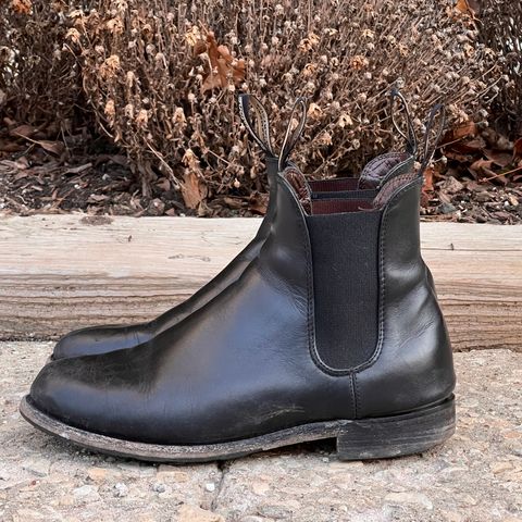 Blundstone Dress in Black