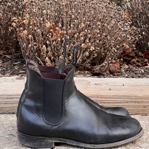 Blundstone Dress in Black