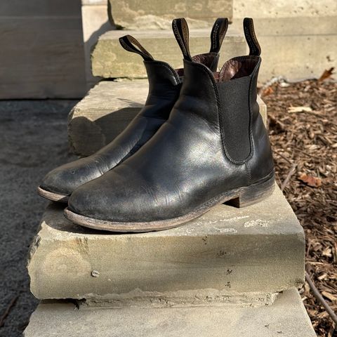 Blundstone Dress in Black