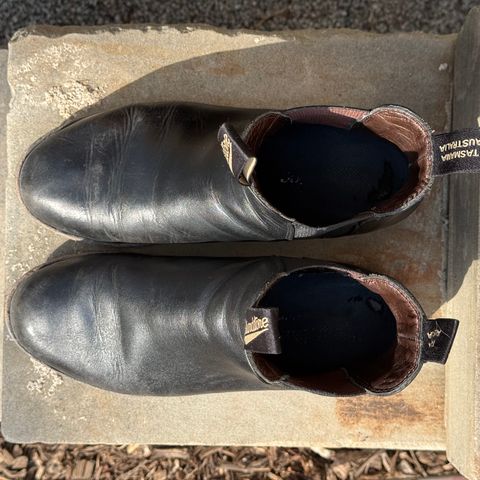 Blundstone Dress in Black