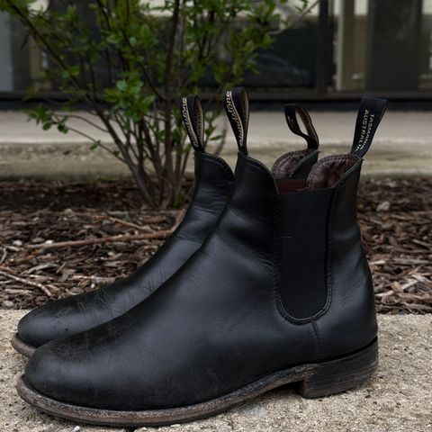 Blundstone Dress in Black