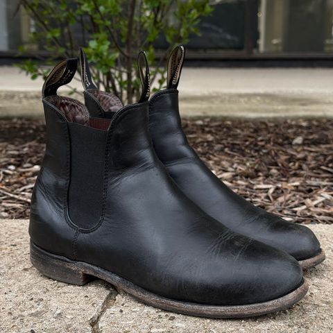 Blundstone Dress in Black