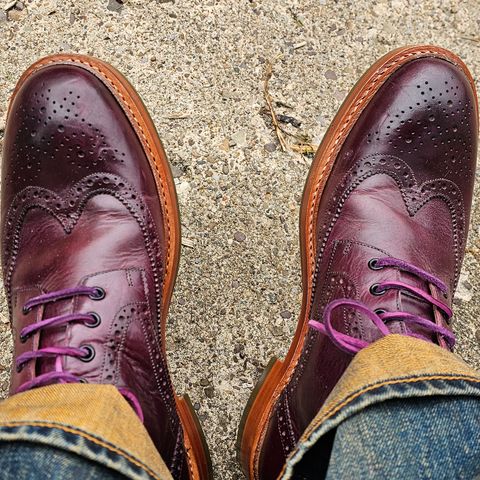 BLKBRD Montero Wingtip Derby Boot in Badalassi Carlo Prugna Pueblo
