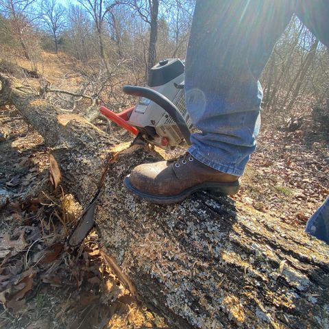 Red Wing 2233 in Full Grain Oiled