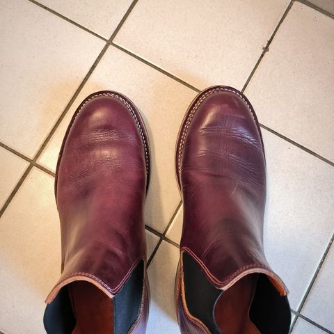 View photo of Bordon Isidro in Wickett & Craig Burgundy Oiled Latigo