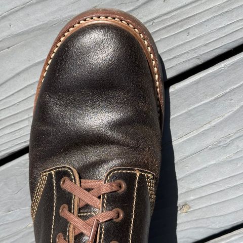 John Lofgren M-43 Service Shoes in Horween Dark Brown Waxed Flesh