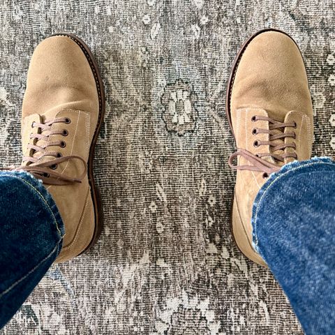 Oak Street Bootmakers Field Boot in Horween Natural Chromexcel Roughout