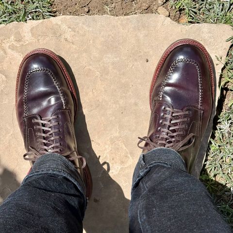 Alden Indy Boot in Horween Color 8 Shell Cordovan
