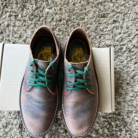 Jim Green Shoellie in Bronco