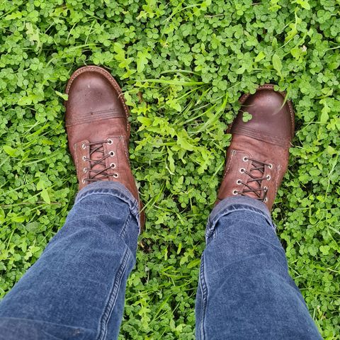 Red Wing Iron Ranger in S.B. Foot Amber Harness