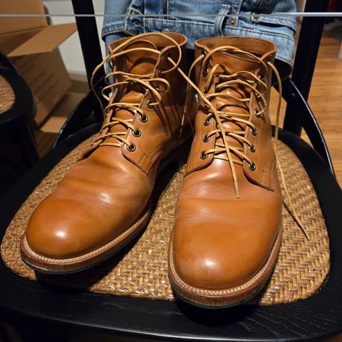 Viberg Service Boot in Maryam Bruciato TPR Horsebutt