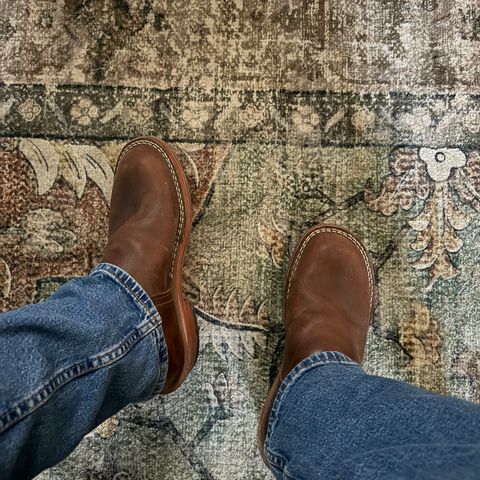 Nicks Pullman in Italian Brown Cypress