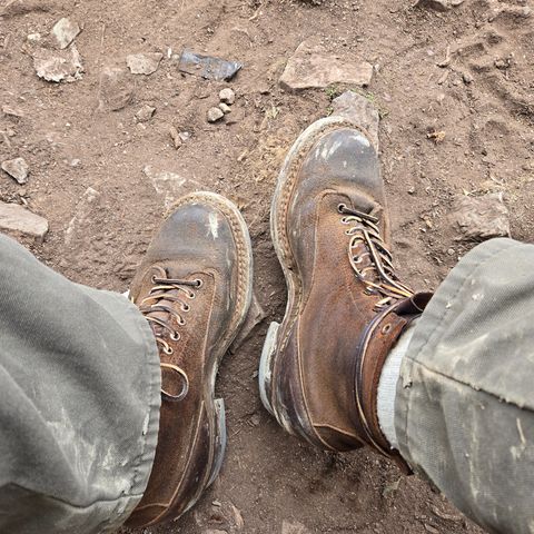 White's C350 Cutter in Seidel Distressed Roughout