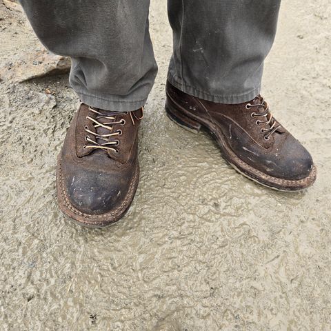 White's C350 Cutter in Seidel Distressed Roughout
